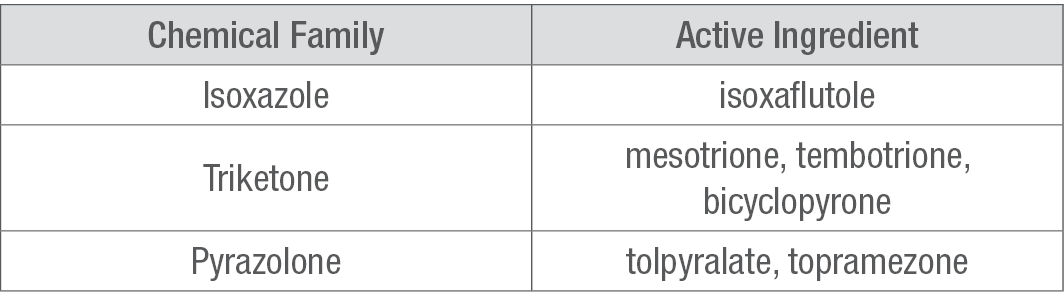 , HPPD Inhibitors 